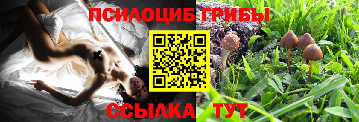 Донецк  где можно купить наркотик  Вход с VPN  Псилоцибиновые грибы MAGIC MUSHROOMS 